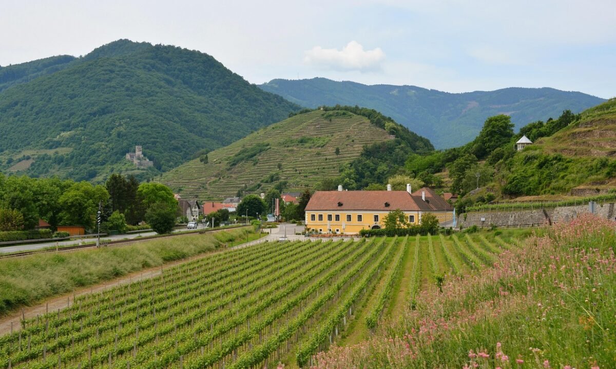 Die Wachau zu Fuß: Warum der Welterbesteig im Herbst am meisten hergibt