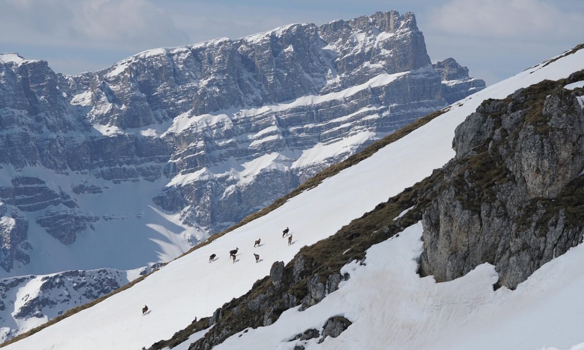Südtirol im Februar: Winter ohne Skier, und warum das besser funktioniert als gedacht