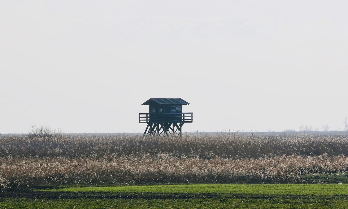 Der Neusiedler See im März: Wenn die Vögel zurückkommen und die Radler noch nicht
